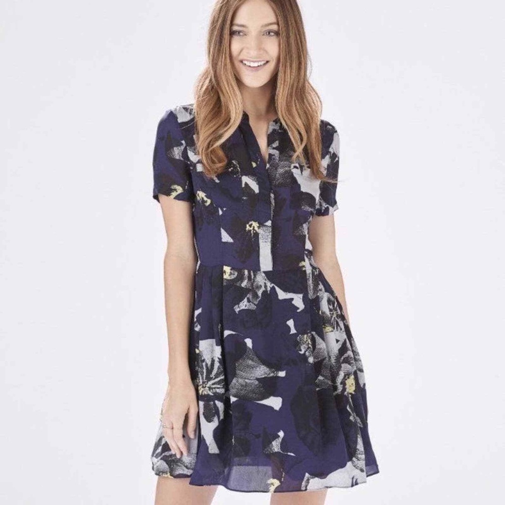 Parker Kelby Combo Short Sleeve 100% Silk Fit & Flare Dress